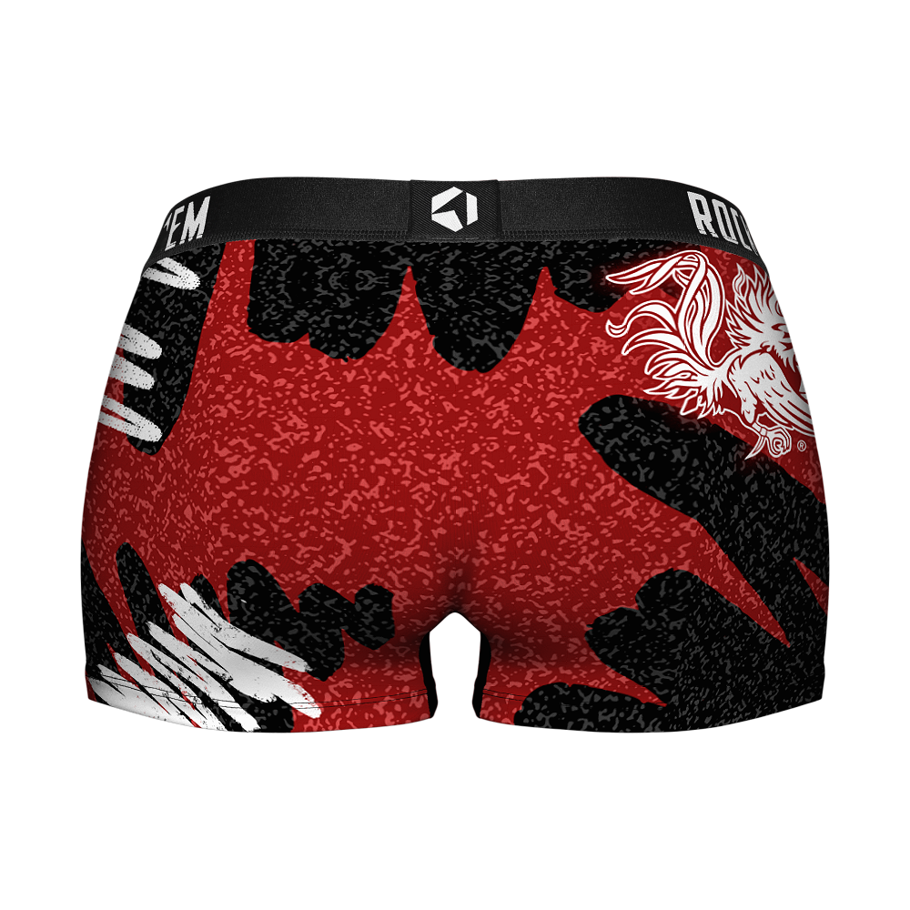South Carolina Gamecocks - Team Blast