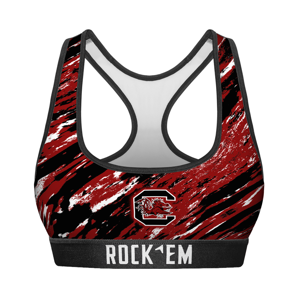 South Carolina Gamecocks - Retro Paint
