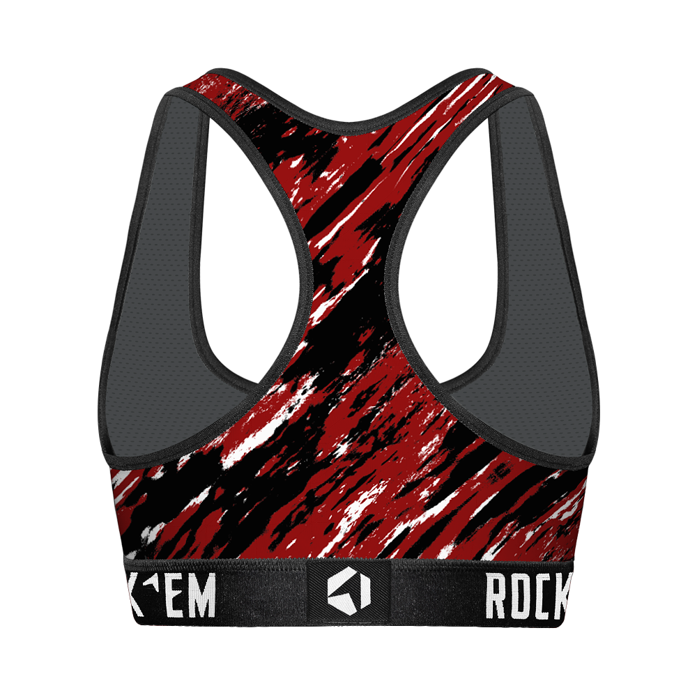 South Carolina Gamecocks - Retro Paint