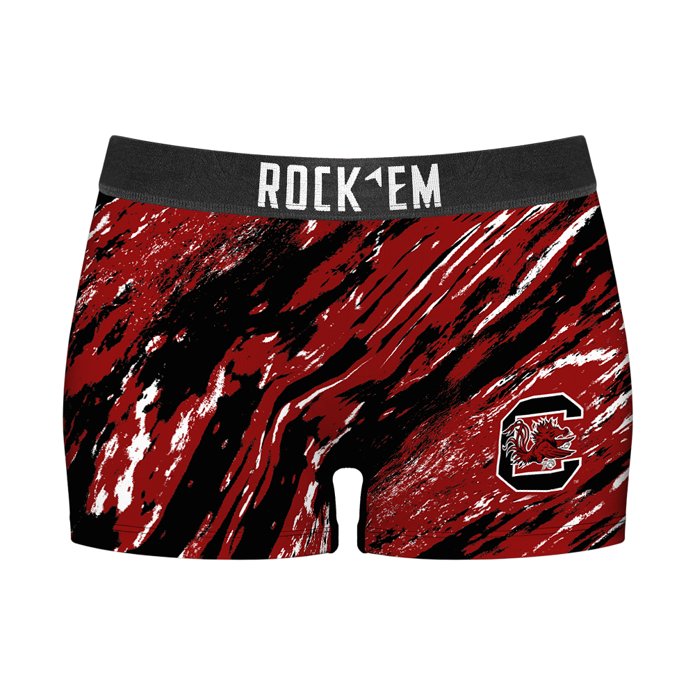 South Carolina Gamecocks - Retro Paint