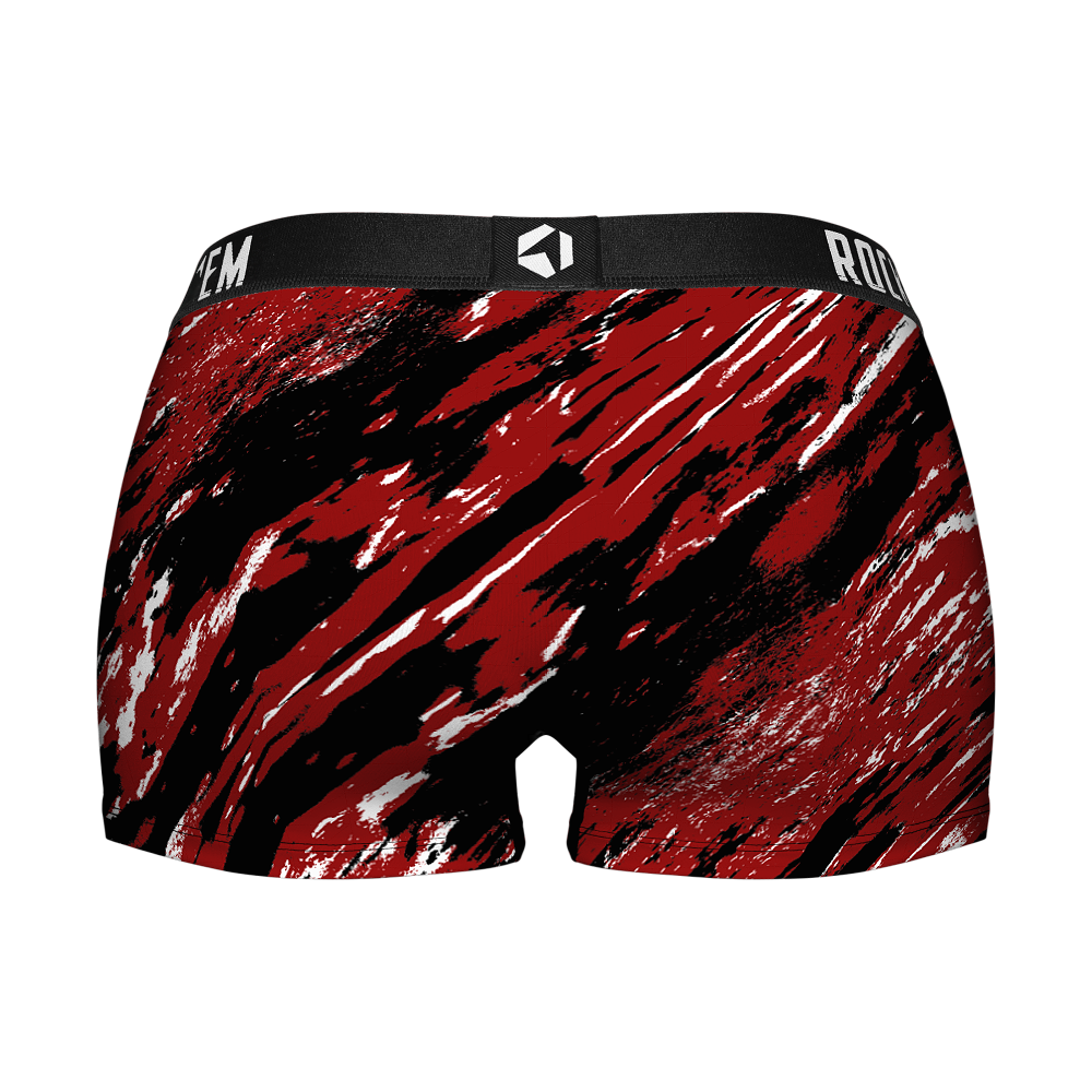 South Carolina Gamecocks - Retro Paint