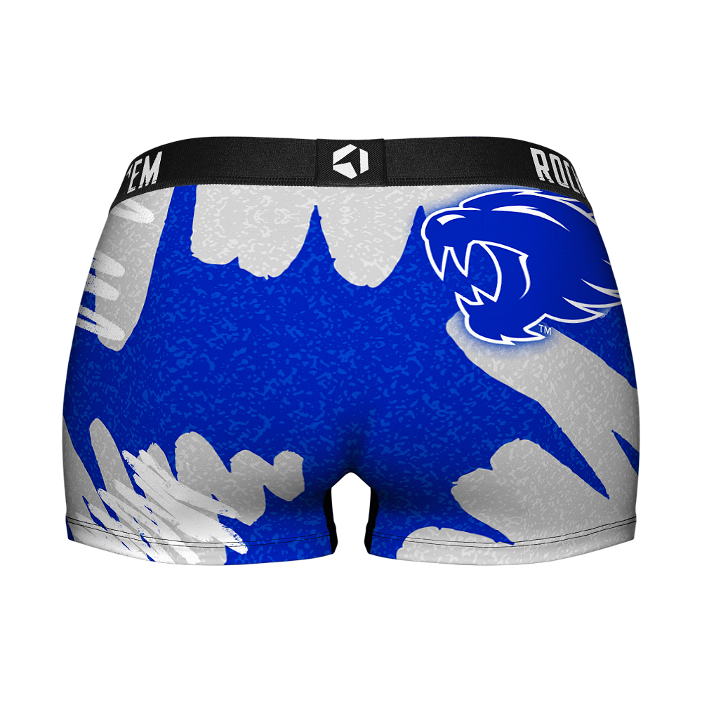 Kentucky Wildcats - Team Blast