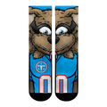 Tennessee Titans - Split Face Mascot