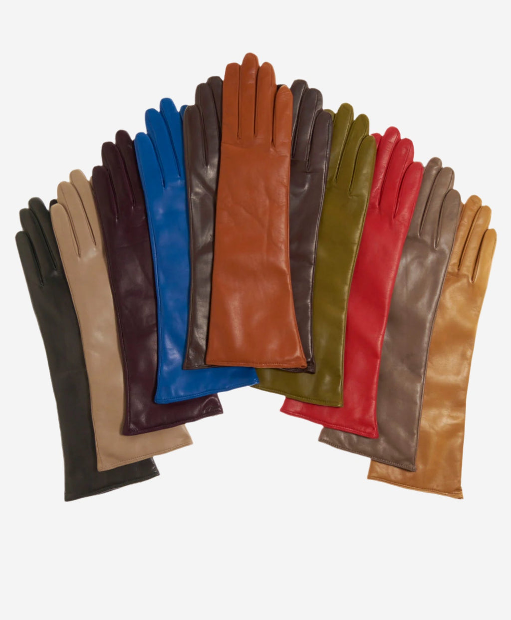 Leonora (black) - Italian 8-button length cashmere lined leather gloves